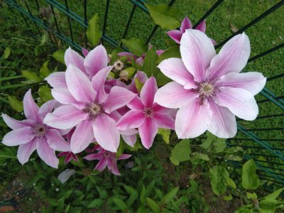 IMG-20220619-WA0008